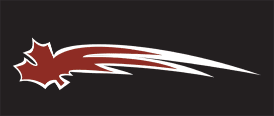 vancouver giants 2001-pres alternate logo iron on heat transfer